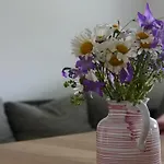 Rosa *